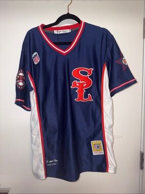 ⭐️⚾️✊🏾⚾️⭐️ St. Louis Stars Negro League  Authentic Baseball Jersey